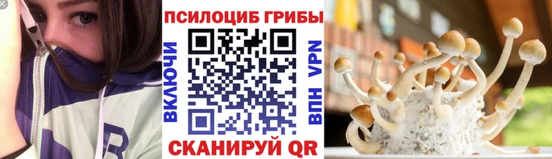 закладка  Малоархангельск  Галлюциногенные грибы GOLDEN TEACHER 